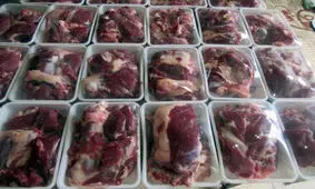 آمادگی کمیته امداد گلستان برای جمع‌آوری نذورات قربانی