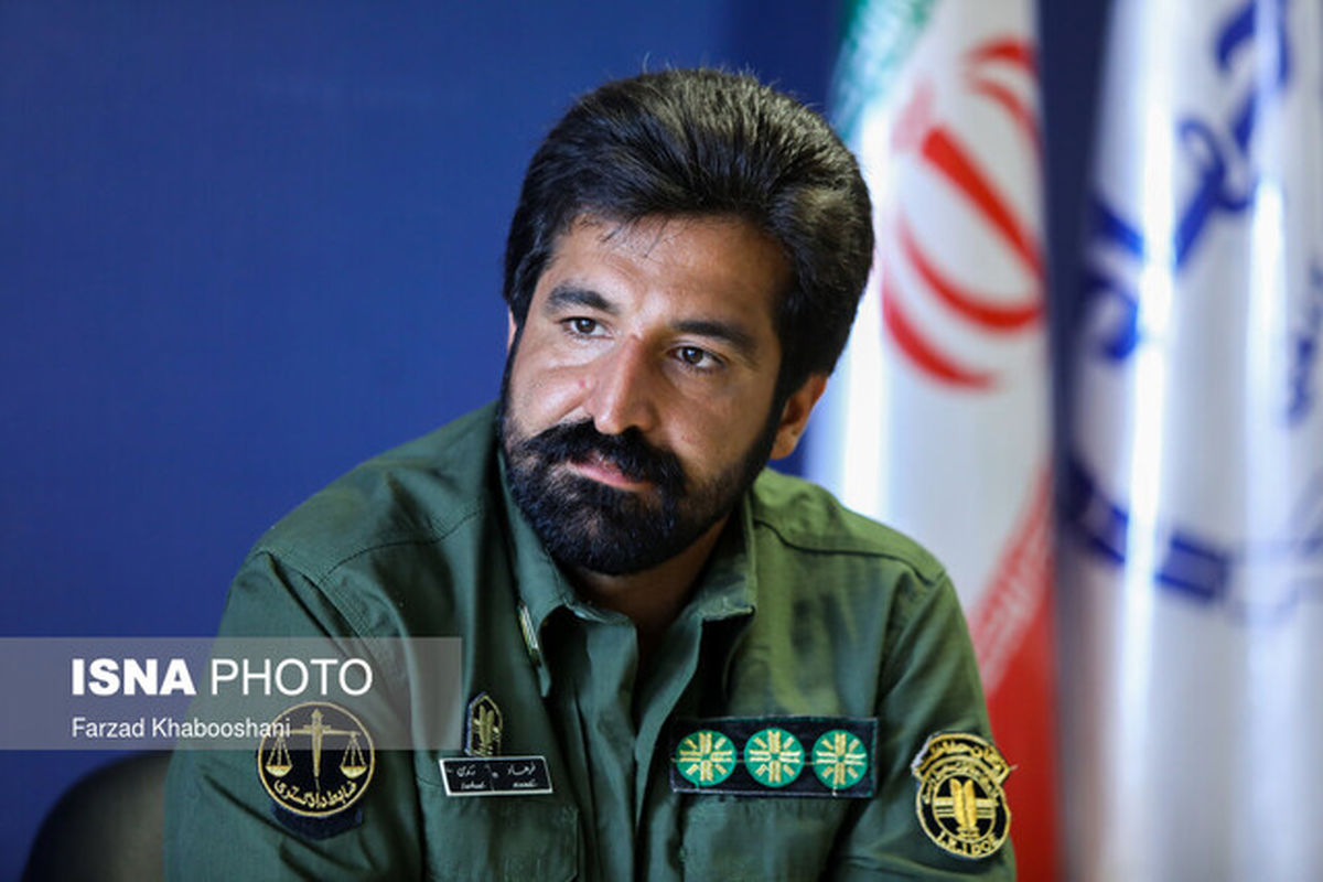 وقوع حریق در ۸۰۰ هکتار از عرصههای طبیعی استان تهران طی امسال
