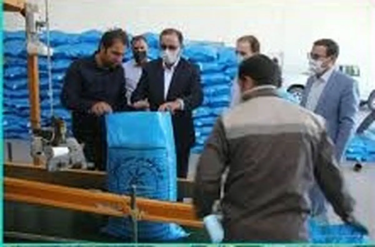 ‍ فرآوری ۲۰ هزار تن بذر اصلاح شده گندم در لرستان