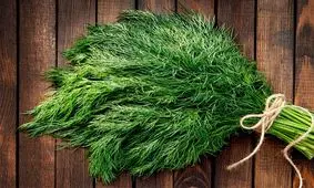 با خواص شگفت‌انگیز شوید آشنا شوید