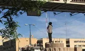 جوان بوشهری خودش را در خیابان دار زد