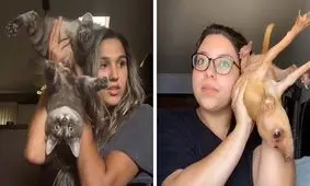 تلفن بازی با حیوانات خانگی؛ چالش جدید شبکه اجتماعی تیک تاک که با انتقاد روبه‌رو شد