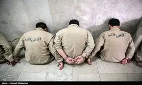 سارقان باغ ویلاها در ساوجبلاغ با ۳۵ فقره سرقت دستگیر شدند