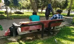 دلار، سکه، خودرو، گوشت و لبنیات گران می شوند؛ شیشه ارزان