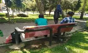 دلار، سکه، خودرو، گوشت و لبنیات گران می شوند؛ شیشه ارزان