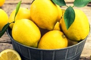 5 شگرد نگهداری لیموی تازه