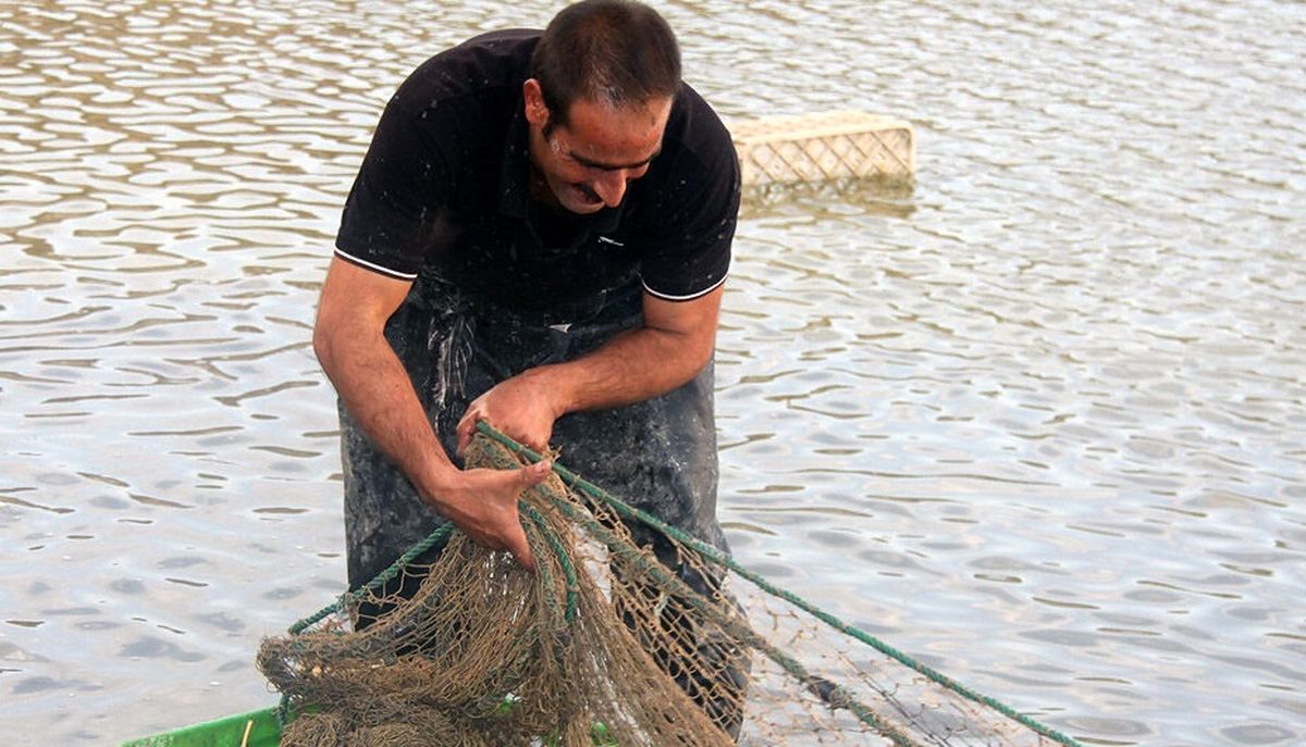 اجرای طرح پرورش ماهیان گرمابی در ۱۰۵ هکتار از آب بندان های آستانه