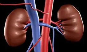 10 علامت اولیه اختلالات کلیوی