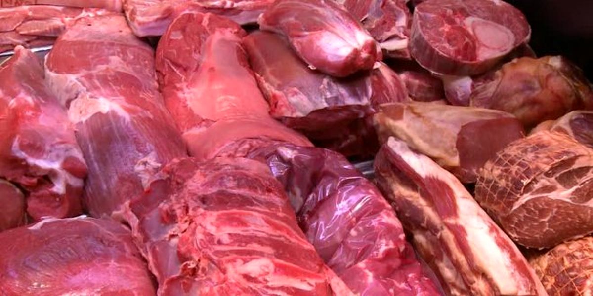 قیمت گوشت گوسفندی منطقی است