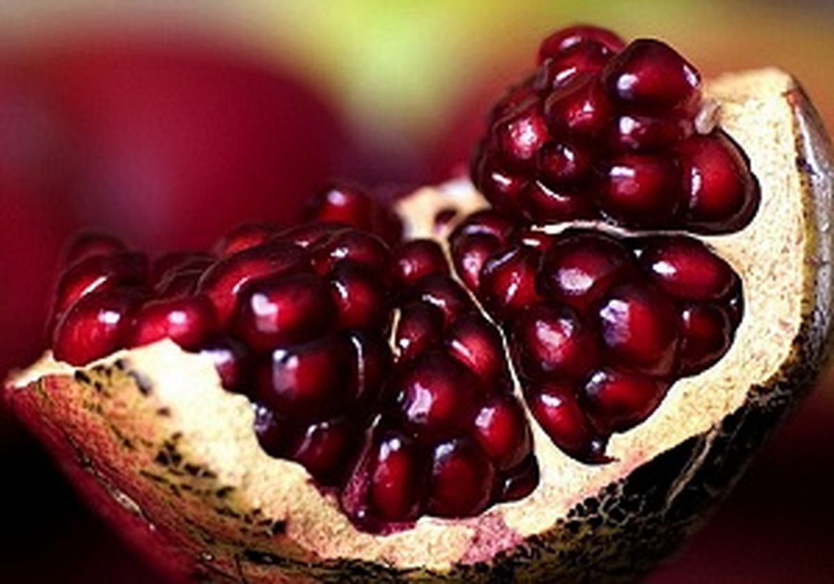 این میوه آلزایمر را از شما دور میکند