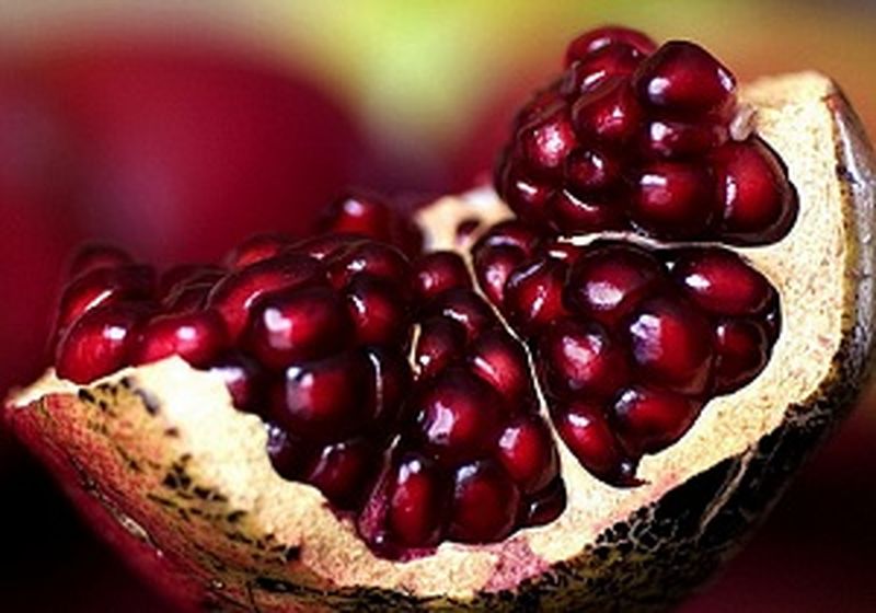 این میوه آلزایمر را از شما دور میکند