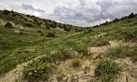 معضل ۱۳ ساله ۱۰۰۰ هکتار از اراضی محدوده مشهد چاره‌اندیشی می‌شود
