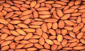 ۱۳۴ تن بادام در چهارمحال و بختیاری صادر شد