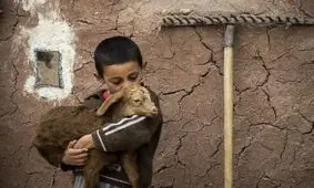 افتخاری جهانی برای عکاس کردستانی