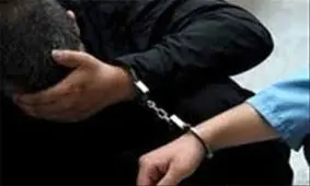 دختر باهوش، زورگیر مسافربرنما را نقره داغ کرد