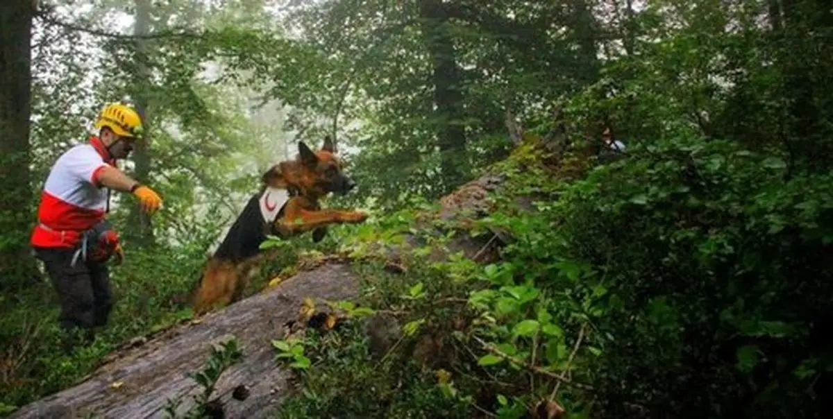 پایان یک پرونده طولانی/ آیا سرانجام جسد «سها رضانژاد» پیدا شد؟