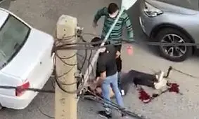 آخرین جزئیات حادثه تیراندازی در سعادت آباد/ ۸ متهم دستگیر شدند