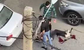 آخرین جزئیات حادثه تیراندازی در سعادت آباد/ ۸ متهم دستگیر شدند