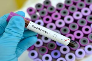 کروناویروس سلولهای ایمنی اصلی را سرکوب می کند