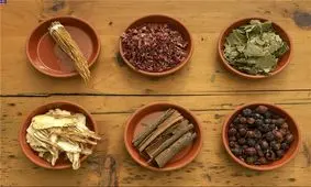 راه‌اندازی مرکز داروسازی گیاهان دارویی در زنجان