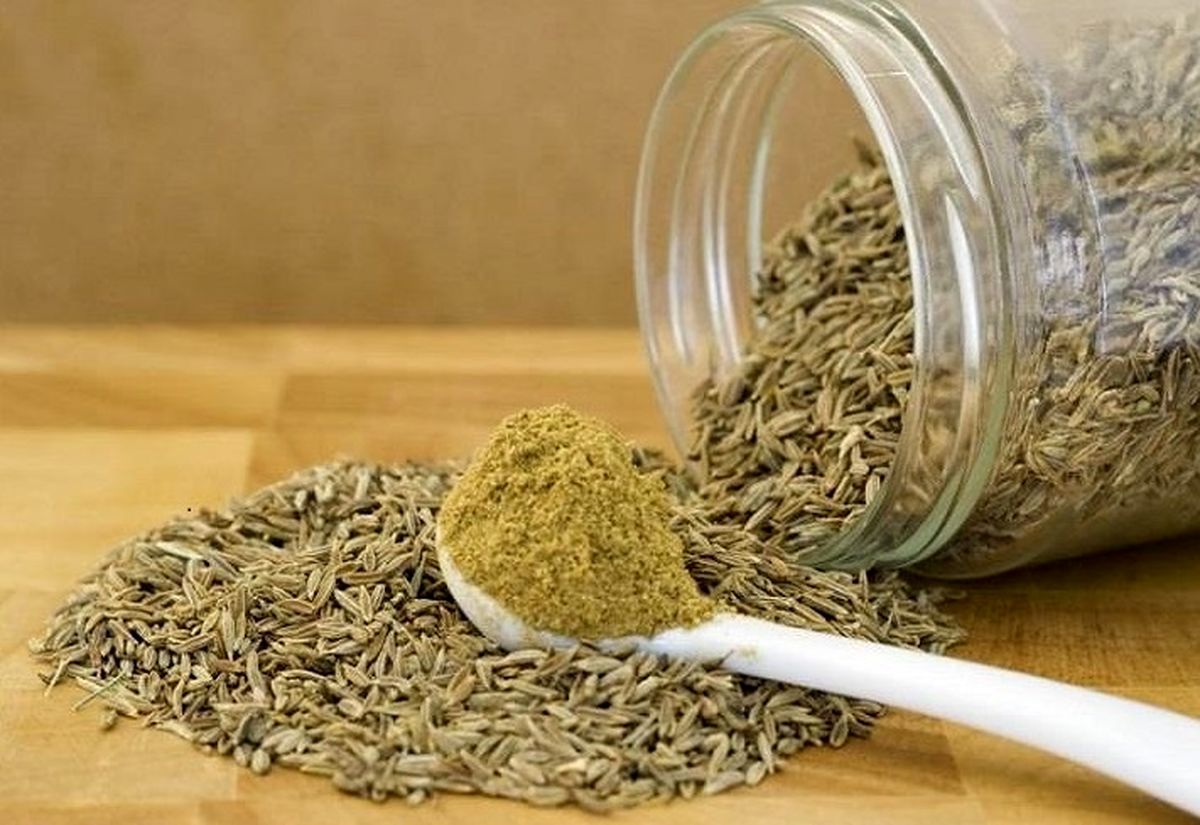 طلای سبز خراسان رضوی یکهتاز در کیفیت و کمیت