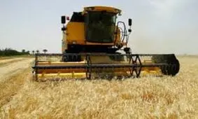 برداشت جو در بیش از ۷ هزار هکتار مزارع بخش "رخ" تربت حیدریه