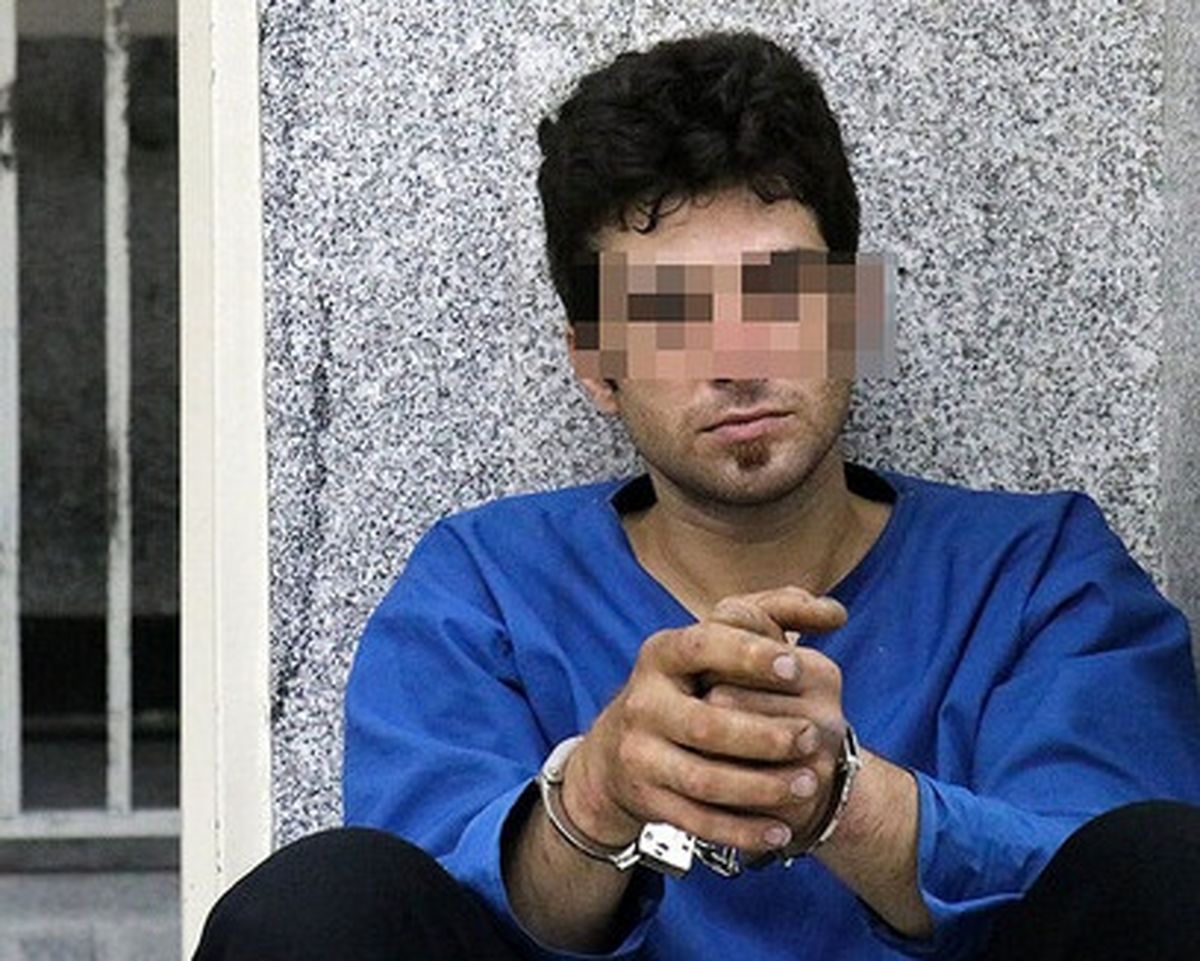 موبایلقاپ بهارستان دستگیر شد