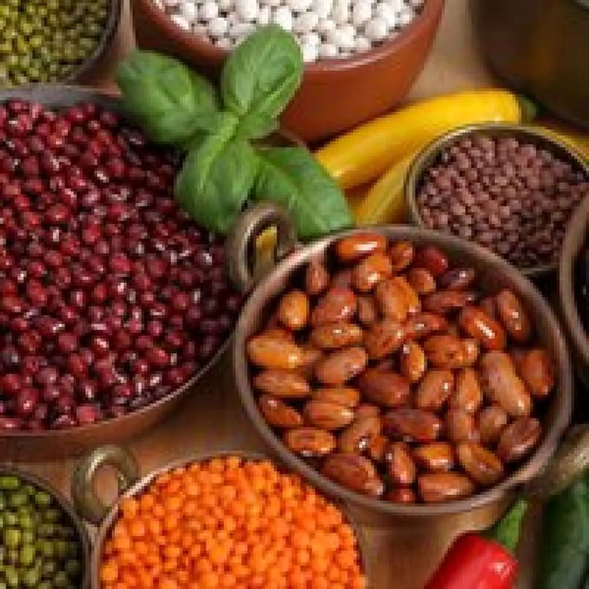 با مصرف هرچه بیشتر پروتئین، امید به زندگی را در خود تقویت کنید