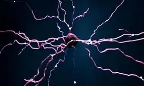 تشخیص رؤیا دیدن افراد در خواب ممکن شد