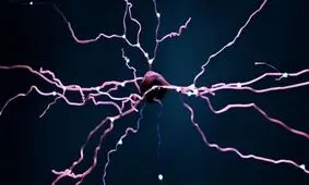 تشخیص رؤیا دیدن افراد در خواب ممکن شد
