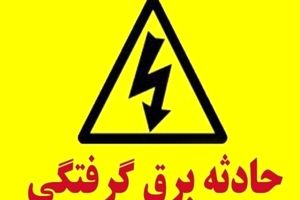 بازداشت مظنونان حادثه پارک لاله