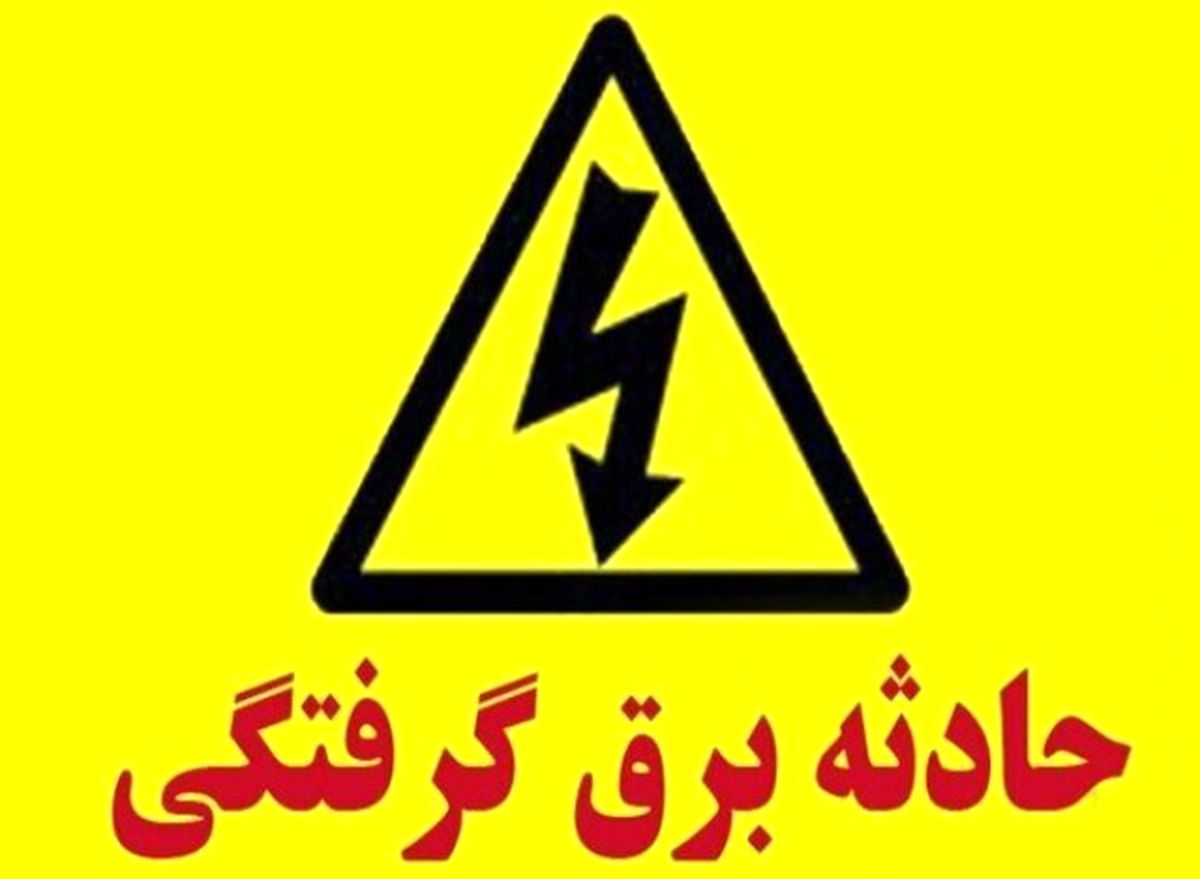 بازداشت مظنونان حادثه پارک لاله