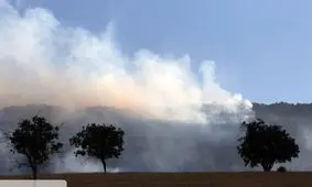 آتش در جنگل‌های باغملک زبانه‌ کشید