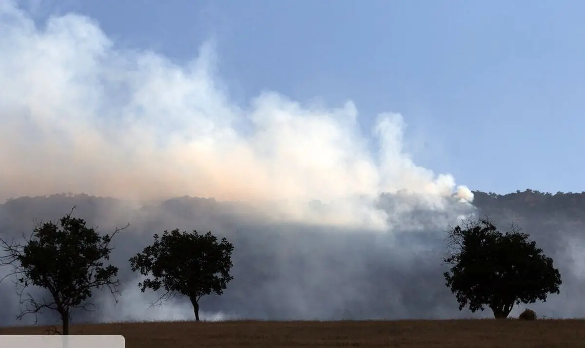 آتش در جنگل‌های باغملک زبانه‌ کشید