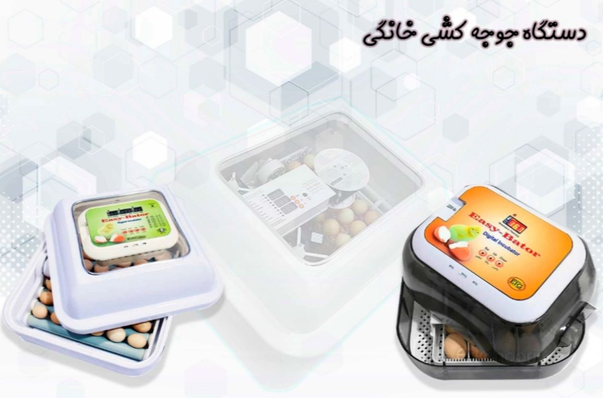 بهترین انتخاب برای خرید دستگاه جوجهکشی چیست؟