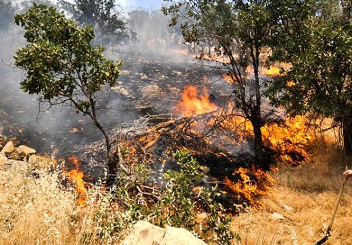 آتش‌سوزی اراضی ملی قزوین تا ۵۰۰ هکتار افزایش یافت