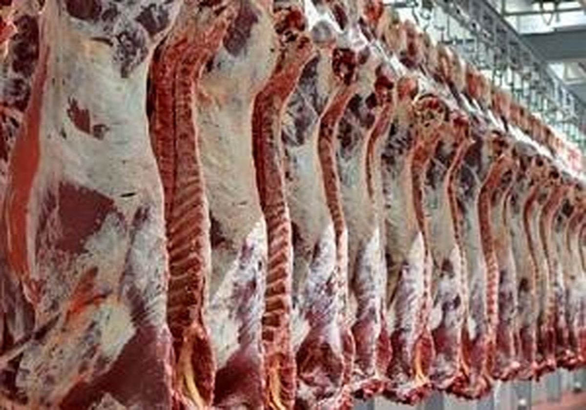 کشف 2 تن گوشت فاسد در جنوب تهران