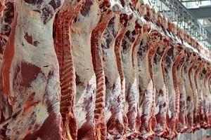 کشف 2 تن گوشت فاسد در جنوب تهران