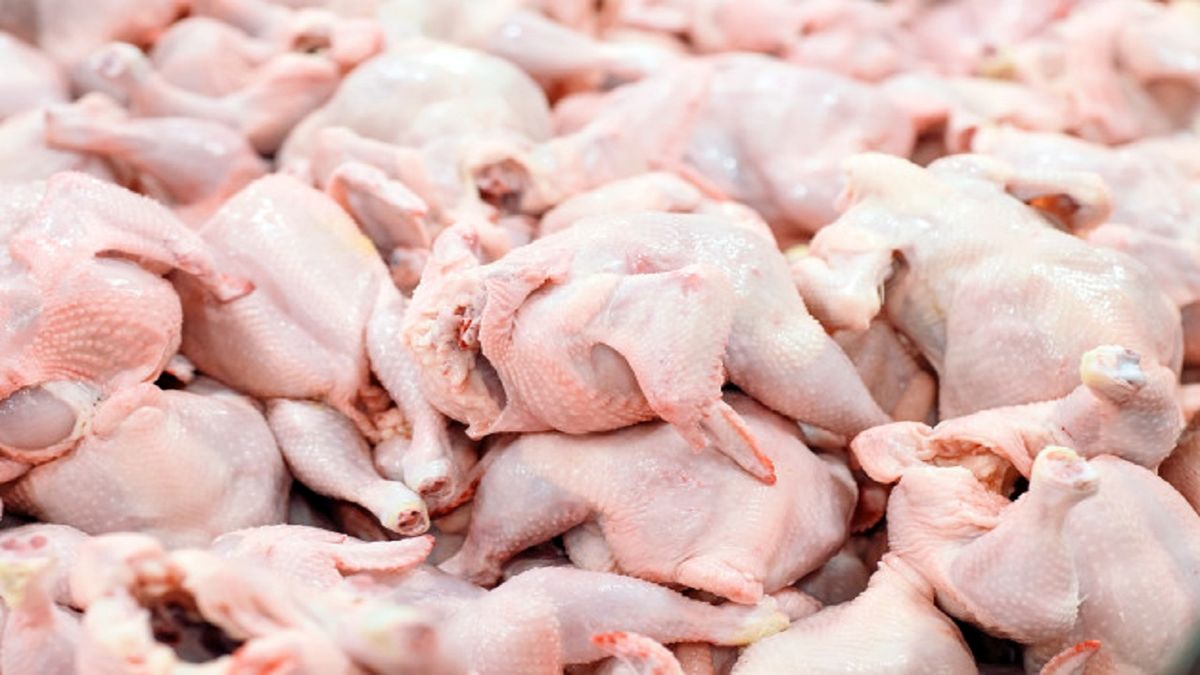 عرضه مرغ با نرخ بالای ۲۰ هزار تومان گرانفروشی است