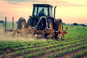 برنامه ریزی برای اجرای بیش از هزار پروژه در بخش کشاورزی خراسان رضوی