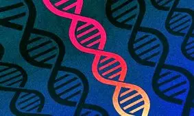 نرم‌افزار اکسل ژن‌های انسان را تغییر می‌دهد