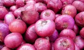 بیماری جدیدی که از طریق پیاز بین آمریکایی‌ها شیوع یافت