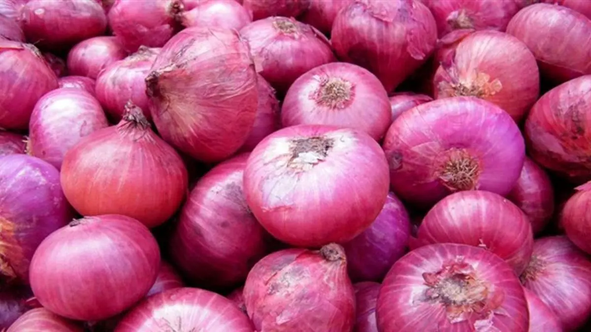 بیماری جدیدی که از طریق پیاز بین آمریکایی‌ها شیوع یافت