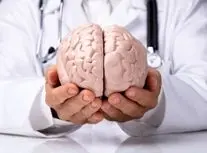 ۱۰ حقیقت حیرت‌انگیز درباره مغز که تاکنون نشنیده‌اید