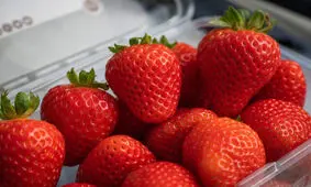 چند خوردنی مفید برای سلامت پوست