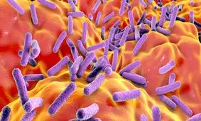 اولین واکسن سرطان روده ممکن است ظرف 2 سال آینده در دسترس باشد

