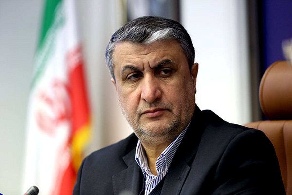 ایران هیچگونه فعالیت پنهانی در حوزه فعالیت های هستهای نداشته است