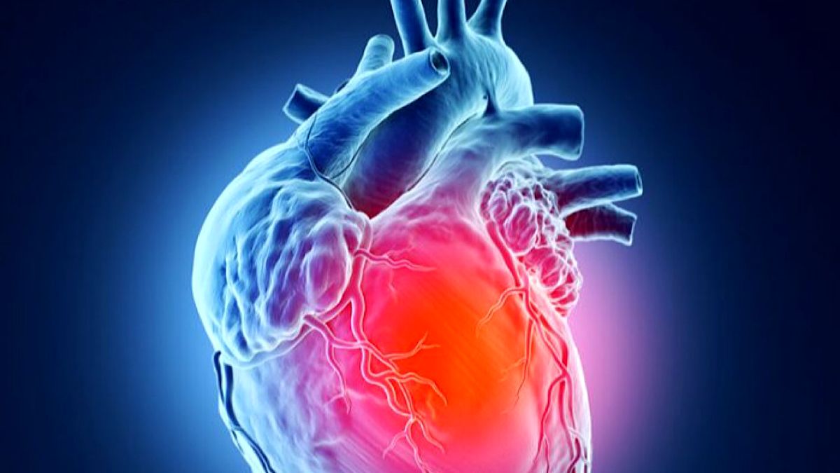 مهم ترین دلایل ابتلا به تومور قلبی و راه های درمان آن
