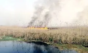 هورالعظیم در آتش می سوزد و ریه‌های خوزستانی ها، پر از دود شده است