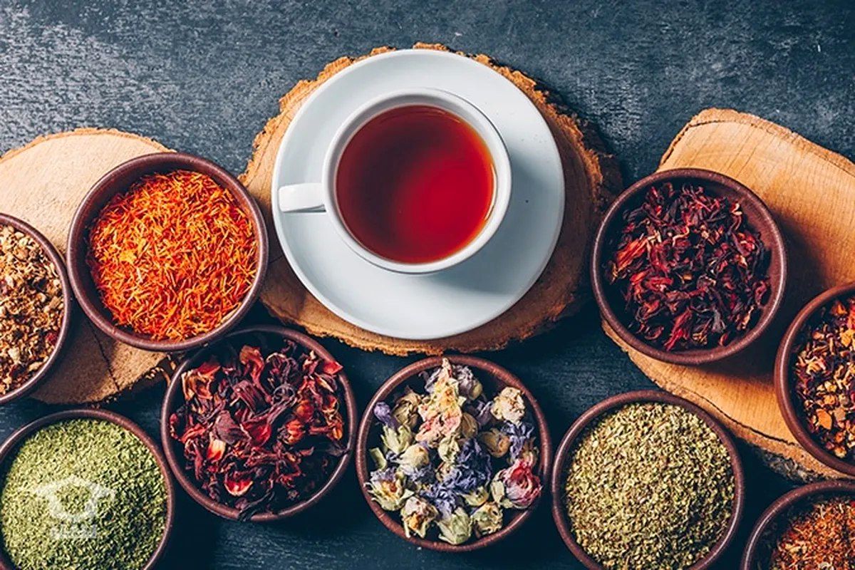 ۷ نوشیدنی گرم برای حفظ سلامت ریه ها